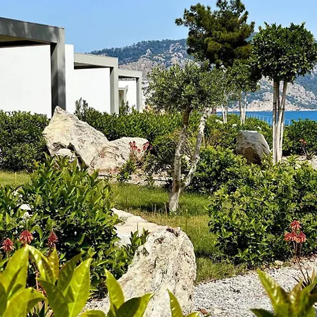 Z-villas