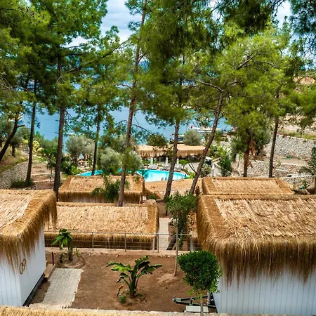 Z-villas تورونشْ