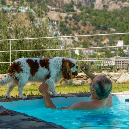 Z-villas فندق تورونشْ