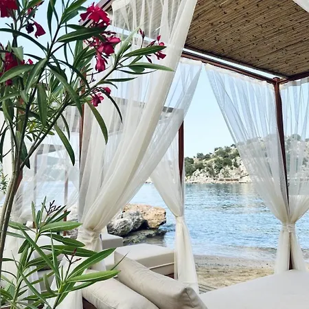 فندق Z-villas تورونشْ