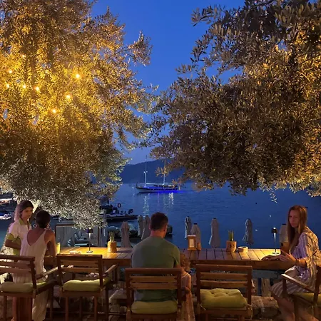 Z-villas * تورونشْ