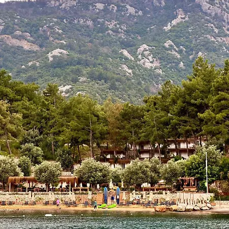 Hotel Z-villas *
