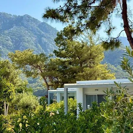 Z-villas Turunç