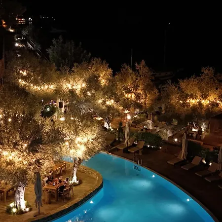 Z-villas