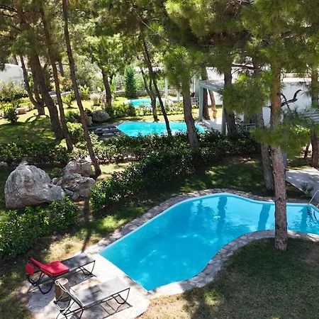 Szálloda Z-villas *