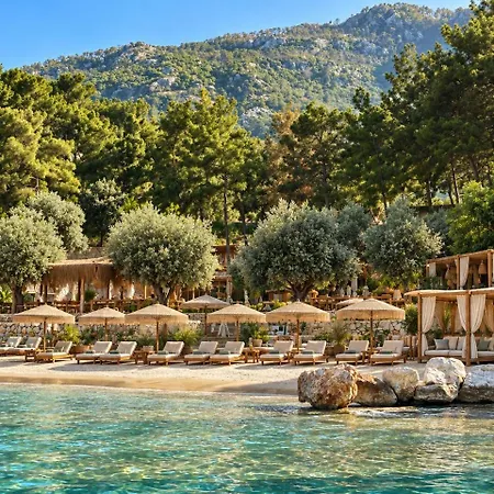 Z-villas *