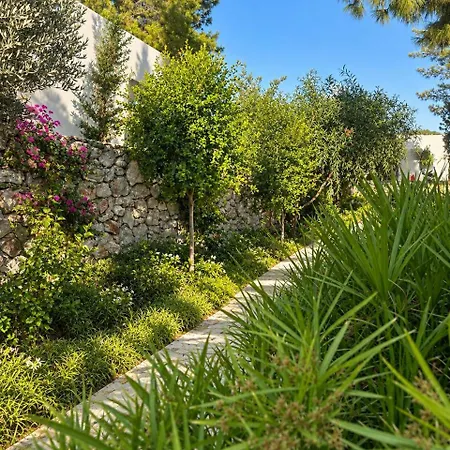 Z-villas * Turunc
